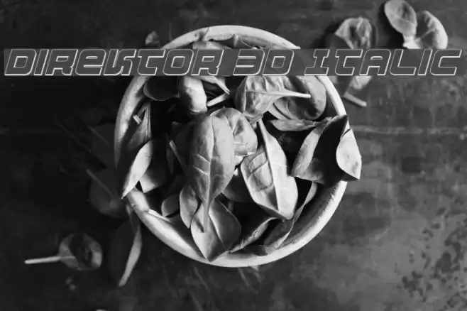 Direktor 3D Italic Fuentes examples