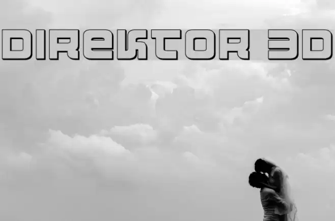 Direktor 3D  examples