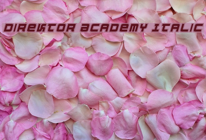 Direktor Academy Italic Font examples