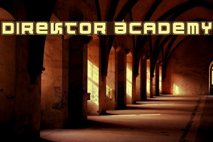 Direktor Academy Fuentes examples
