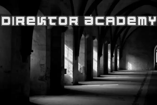 Direktor Academy Fuentes examples