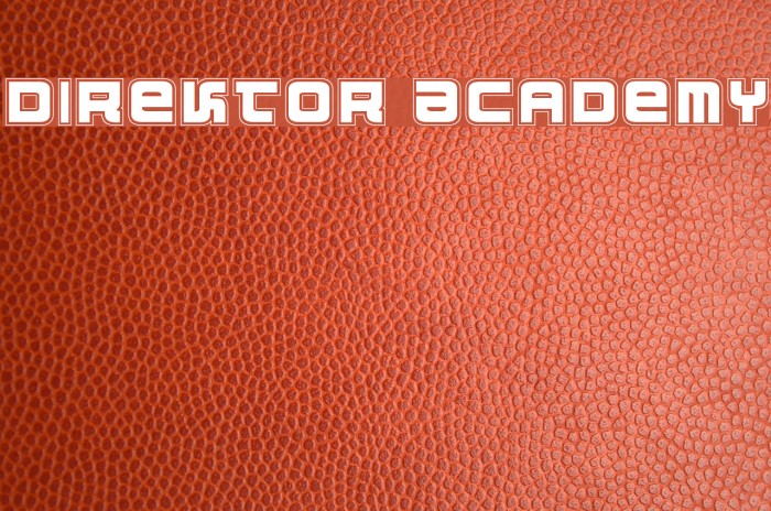 Direktor Academy Fuentes examples