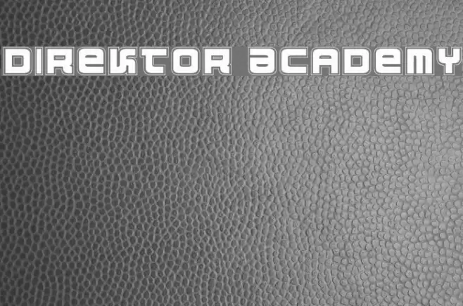 Direktor Academy Fuentes examples