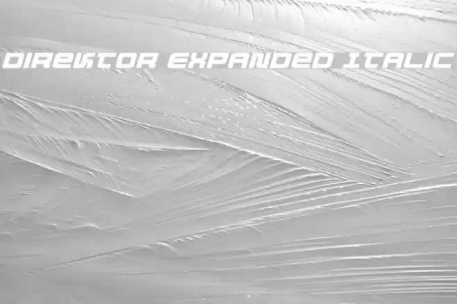 Direktor Expanded Italic Шрифта examples