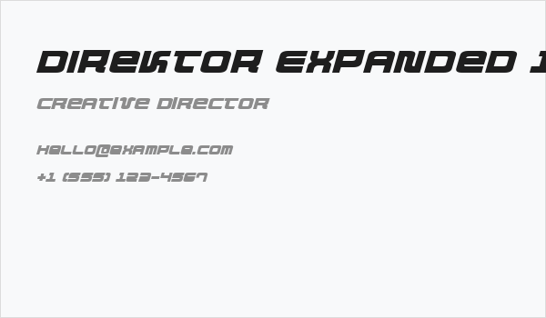 Direktor Expanded Italic Business Card