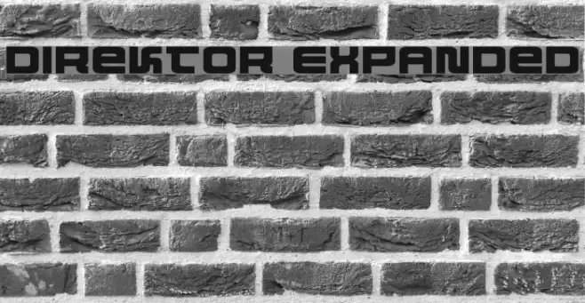 Direktor Expanded フォント examples