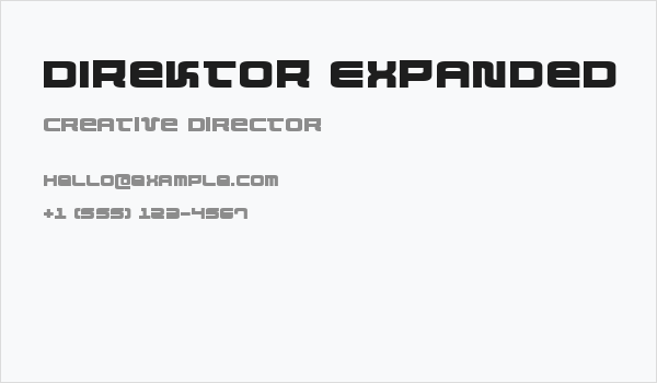 Direktor Expanded Business Card