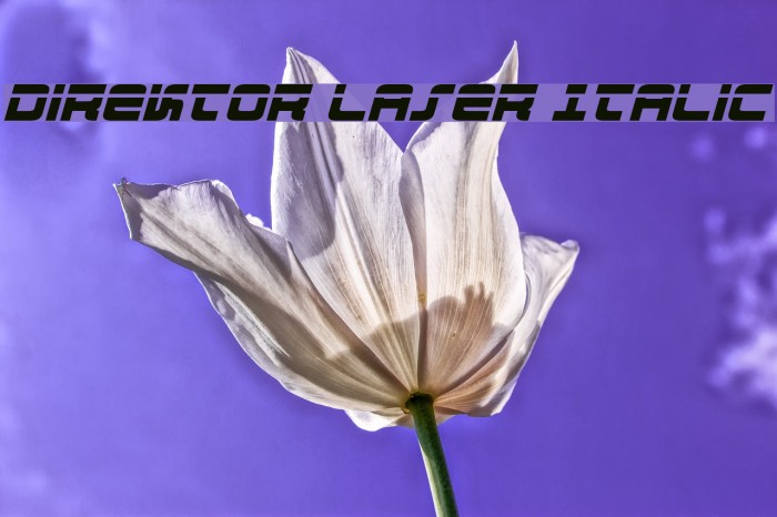 Direktor Laser Italic Font examples