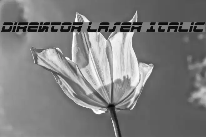 Direktor Laser Italic Example 1