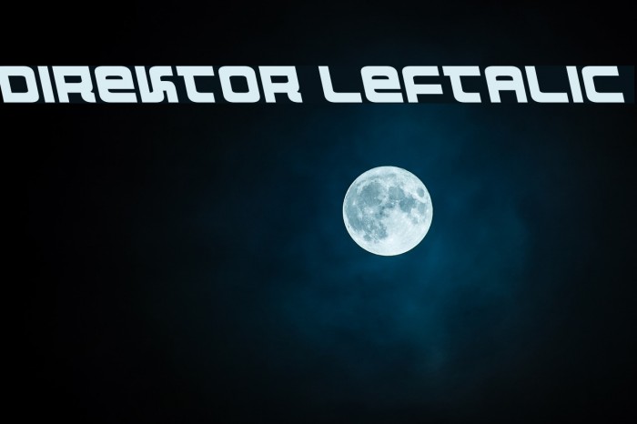 Direktor Leftalic Font examples