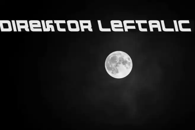 Direktor Leftalic Example 1