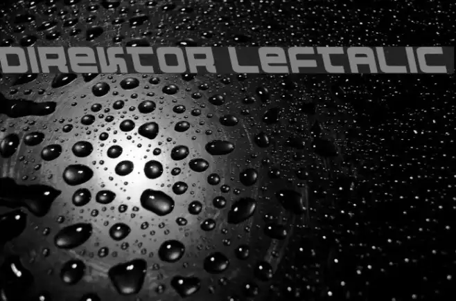 Direktor Leftalic Example 2