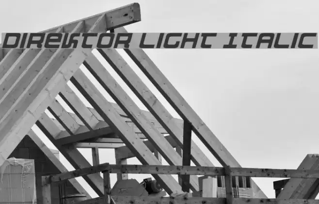 Direktor Light Italic Example 1
