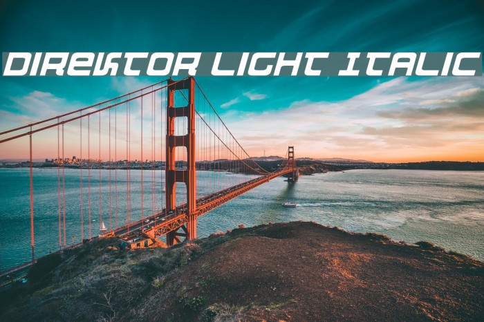 Direktor Light Italic Font examples