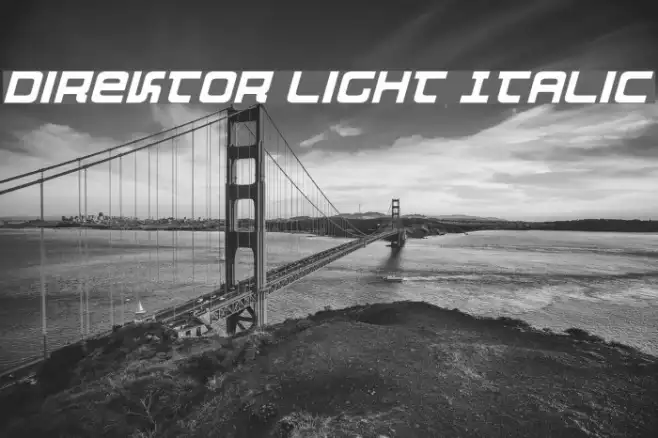 Direktor Light Italic Example 3