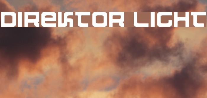 Direktor Light Font examples