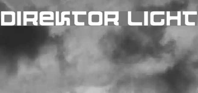 Direktor Light Example 1