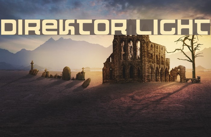 Direktor Light Font examples