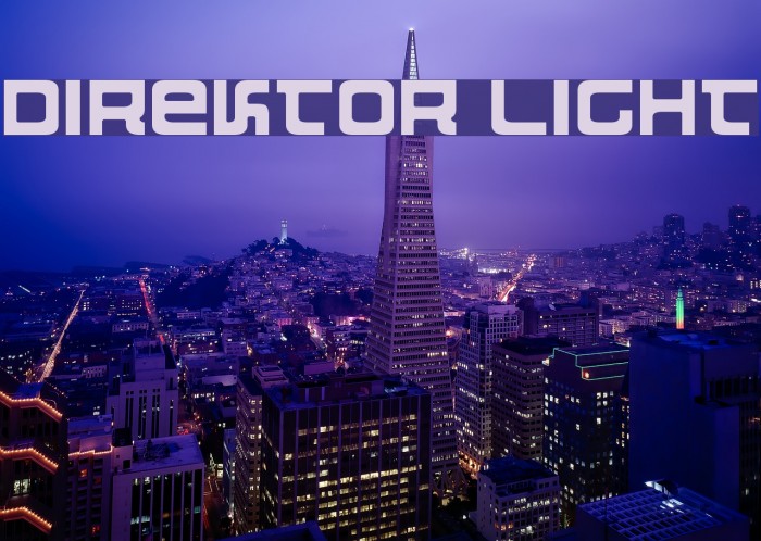 Direktor Light Font examples