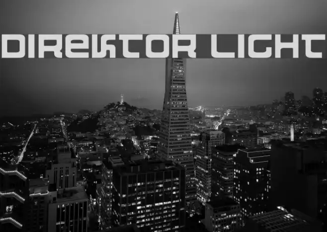 Direktor Light Example 3
