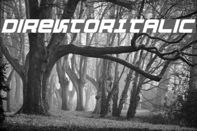 DirektorItalic Шрифта examples