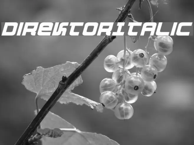 DirektorItalic Шрифта examples