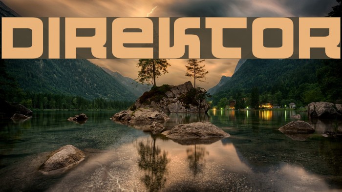 Direktor Font examples