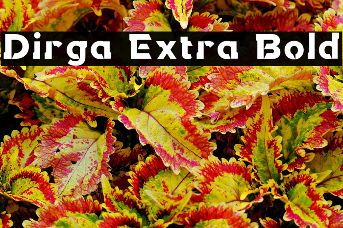 Dirga Extra Bold Example 1