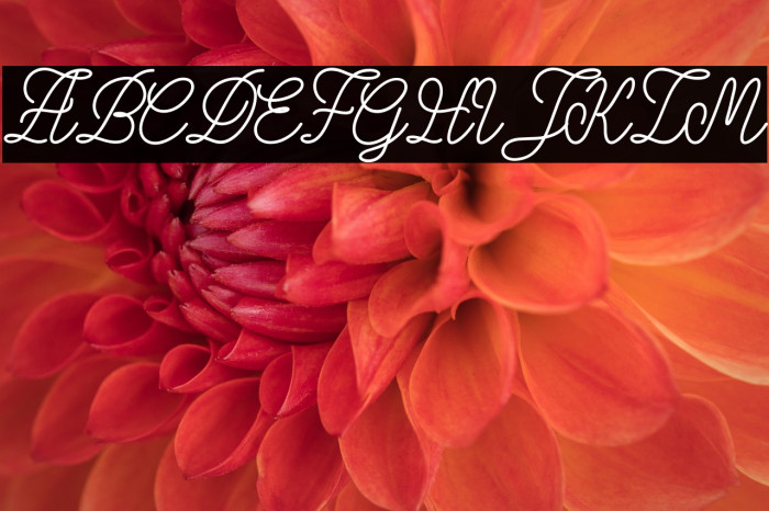 Dirgantara-Regular Example 1