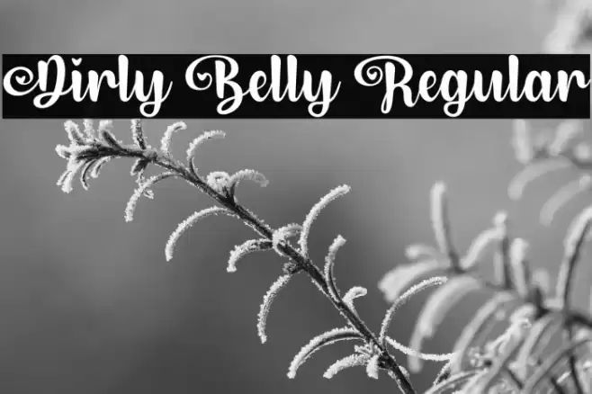 Dirly Belly Regular Font examples