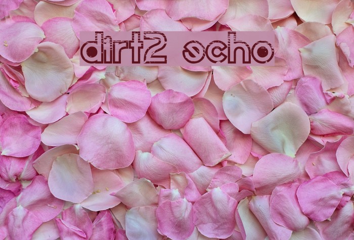 Dirt2 Echo Font examples