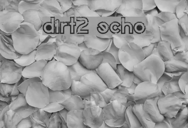 Dirt2 Echo Font examples