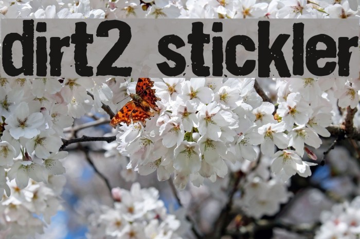 Dirt2 Stickler Font examples