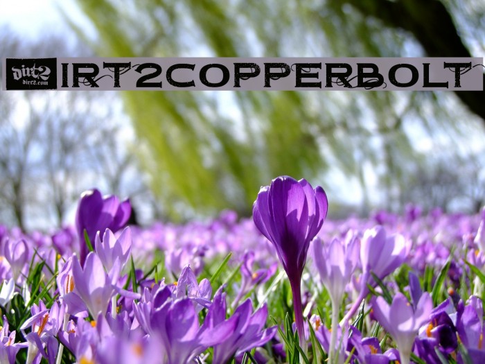 Dirt2Copperbolt Font examples