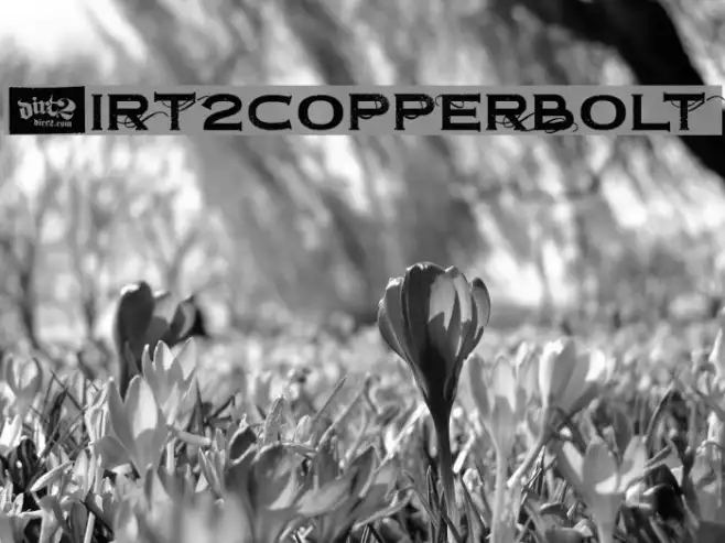 Dirt2Copperbolt Example 3