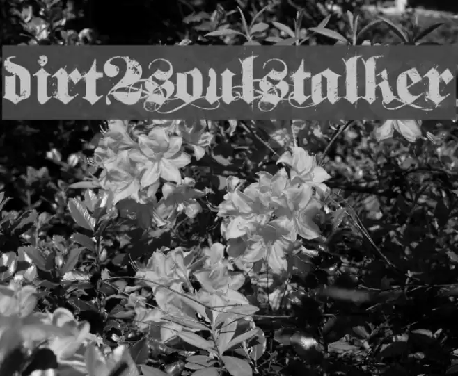 Dirt2SoulStalker Font examples