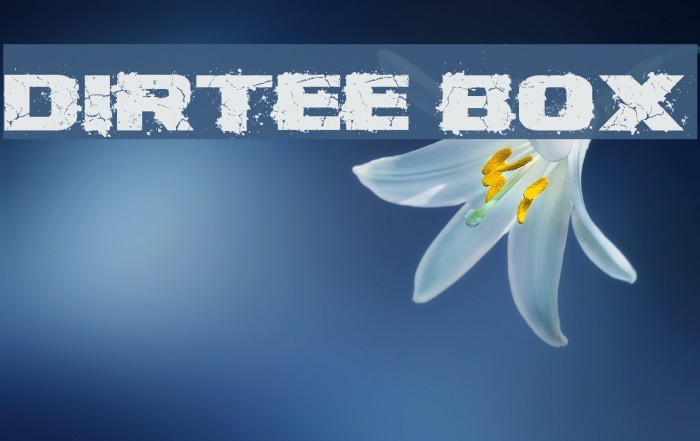 Dirtee Box Font examples