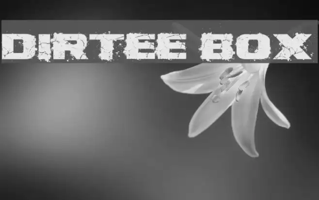 Dirtee Box Example 2