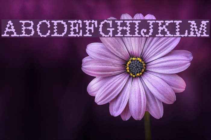 Dirtee Font examples