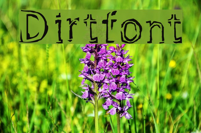 Dirtfont Fonte examples
