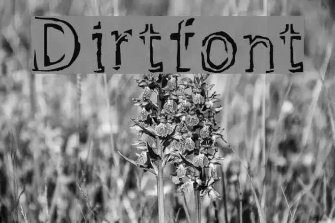 Dirtfont Font examples