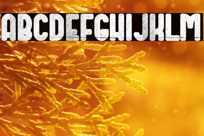 Dirty Deco Example 1