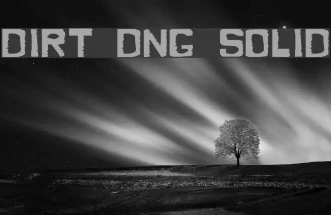 Dirty Dung Solid Font examples
