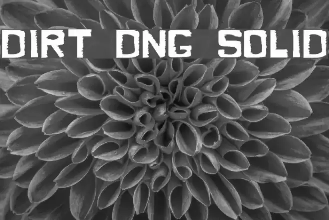 Dirty Dung Solid Font examples