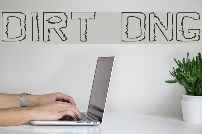 Dirty Dung Font examples