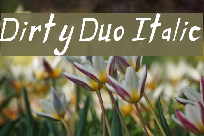 Dirty Duo Italic フォント examples