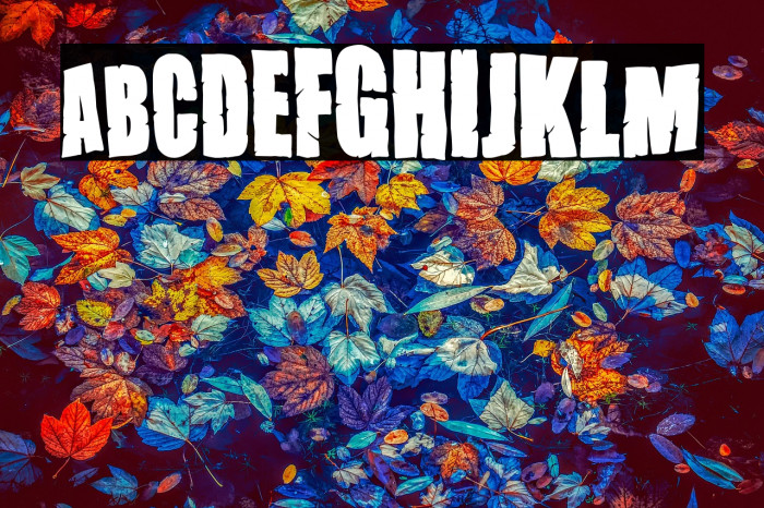 Dirty Grunge Fiesta Example 1