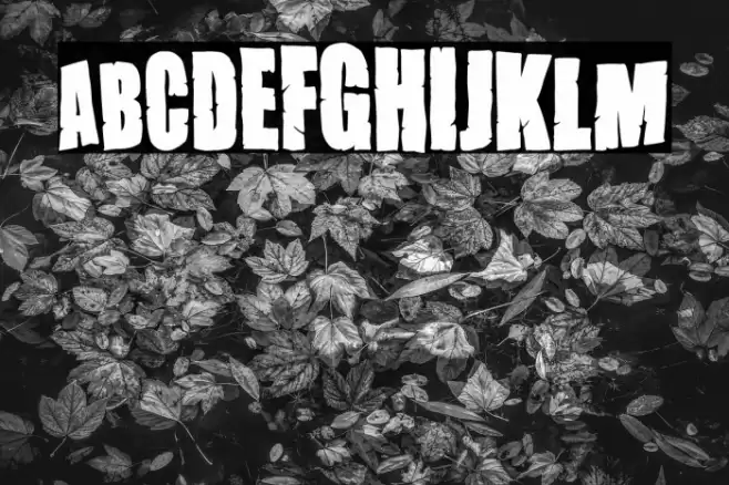 Dirty Grunge Fiesta Font examples