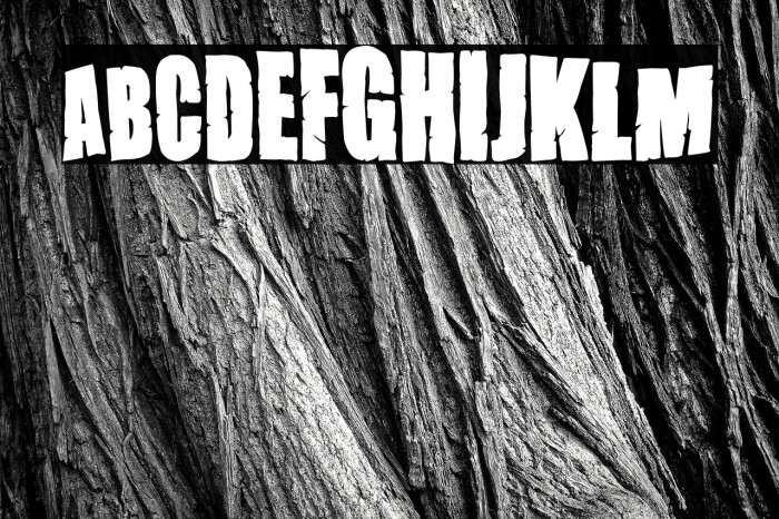 Dirty Grunge Fiesta Example 2