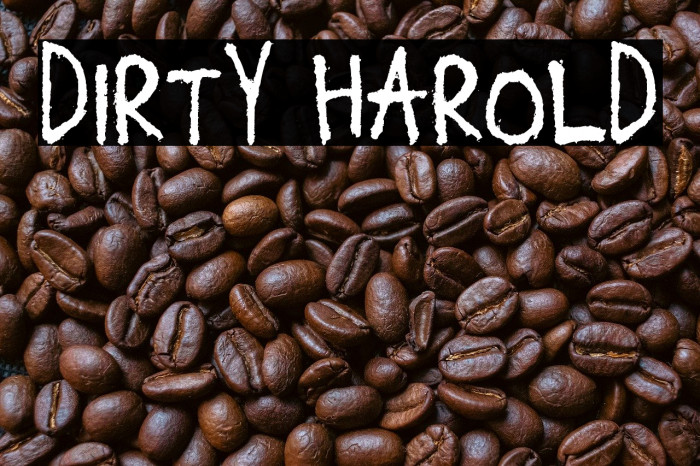 Dirty Harold Example 1